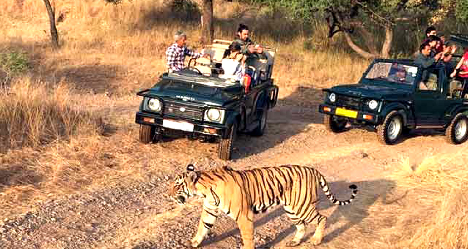 -Jim Corbet National Park Tour | MY INDIA DARSHAN